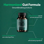 Digestive Health Probiotic - Gut Support for Men & Women - Vegan & Gluten Free - 60 Delayed-Release Capsules (30-Day Supply)