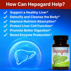 Hepagard Natural Liver Support Supplement 30 Capsules
