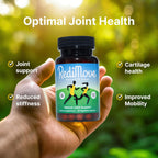 RediMove Natural Joint Support Supplement 30 Capsules