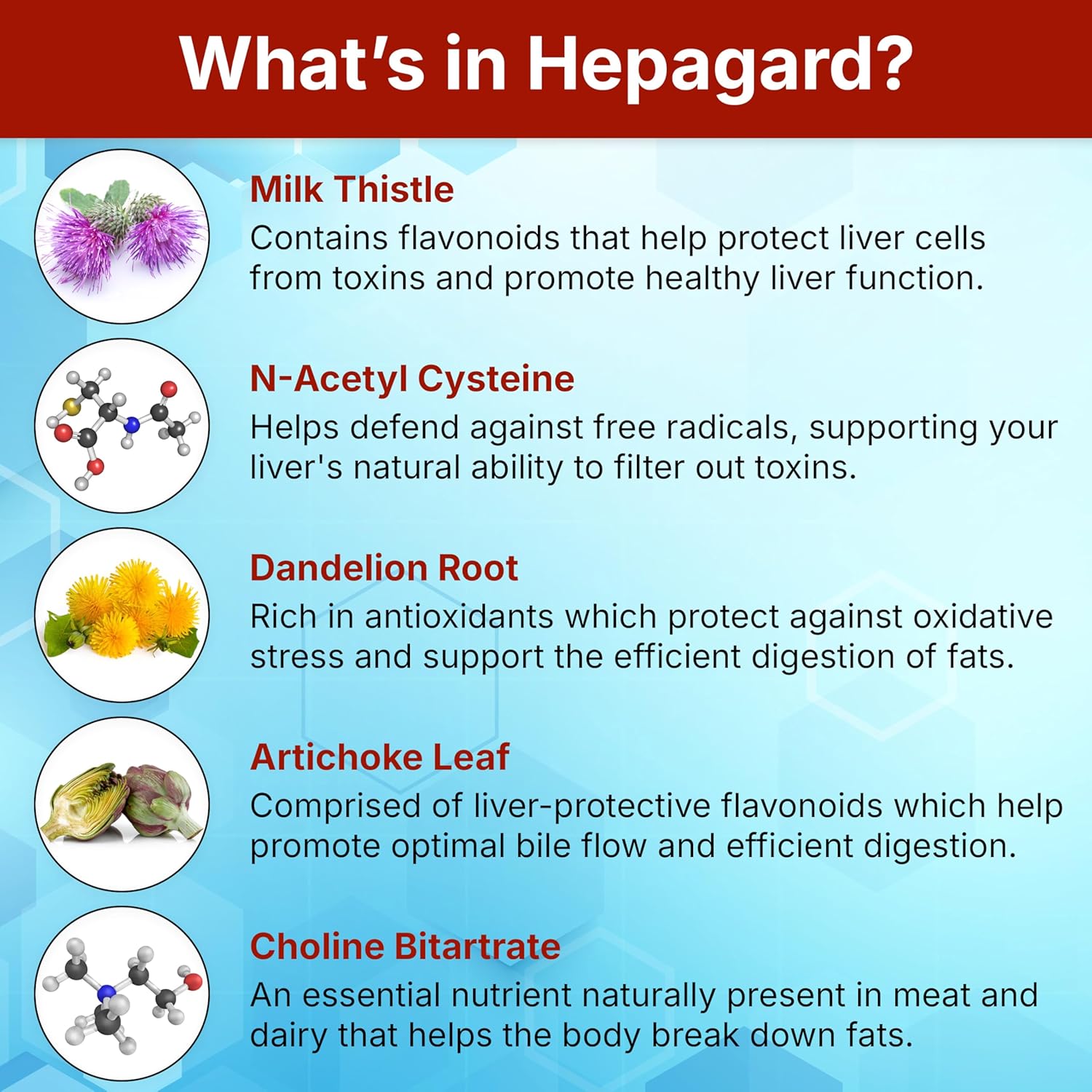 Hepagard Natural Liver Support Supplement 30 Capsules